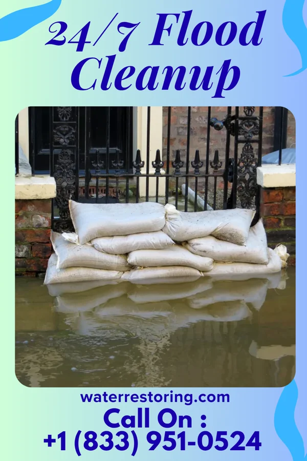 24/7 Flood Cleanup in Grand Ledge, MI