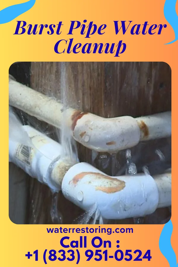 Burst Pipe Water Cleanup in Grand Ledge, MI
