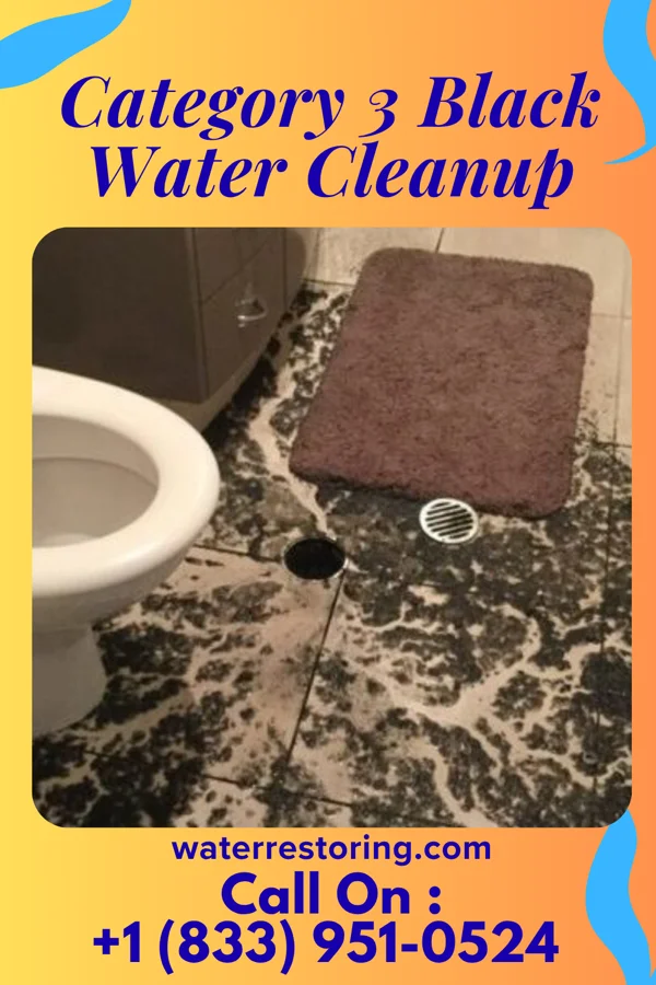Category 3 Black Water Cleanup in Grand Ledge, MI