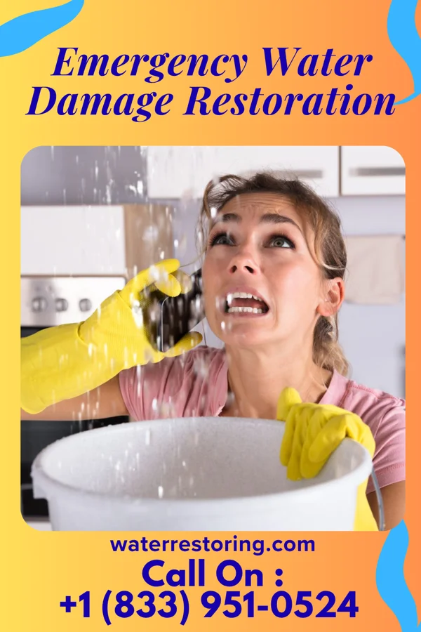 Emergency Water Damage Restoration in Grand Ledge, MI