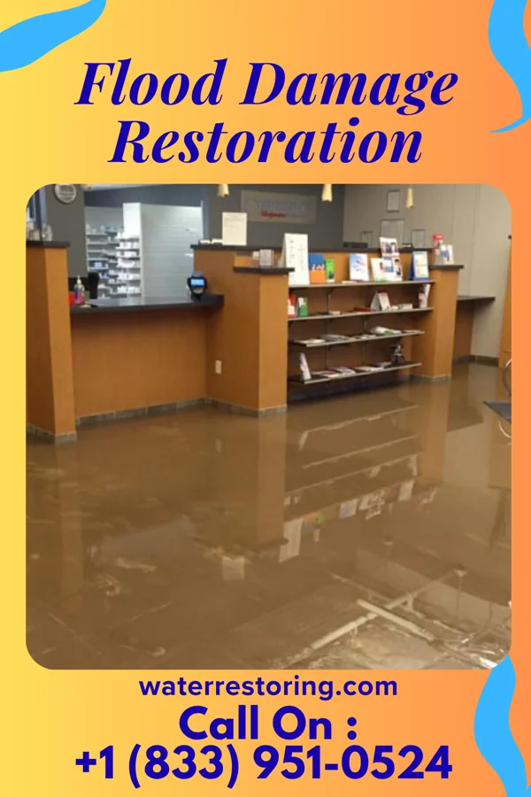 Flood Damage Restoration in Grand Ledge, MI