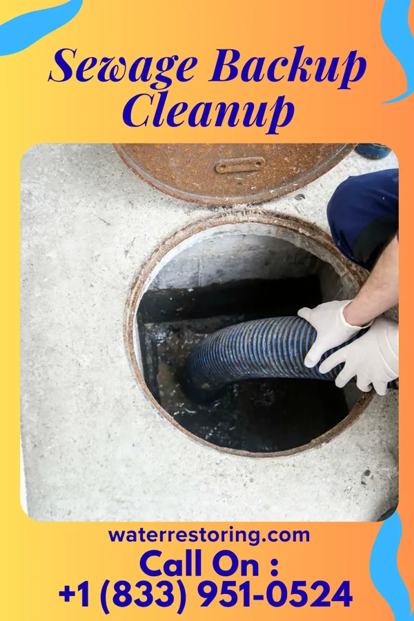 Sewage Backup Cleanup in Grand Ledge, MI