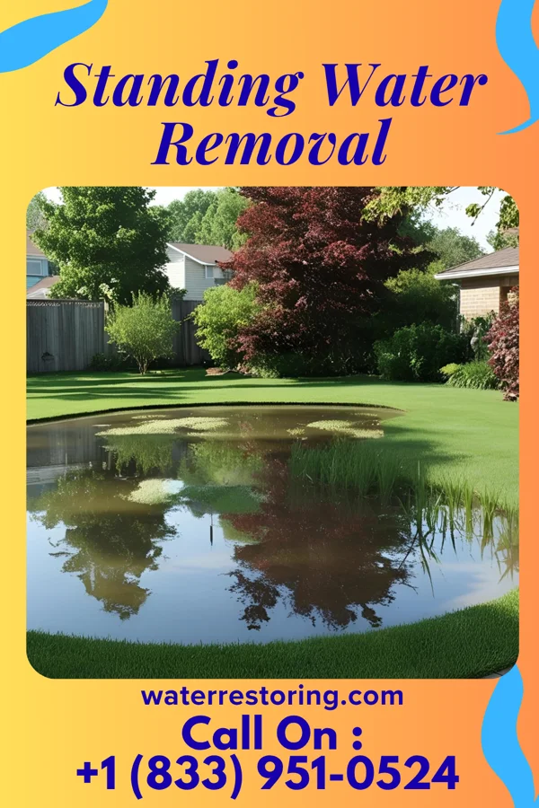 Standing Water Removal in Grand Ledge, MI